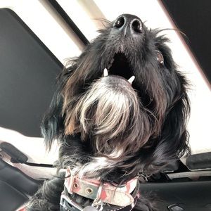 Meet your Posher, Mckaylin